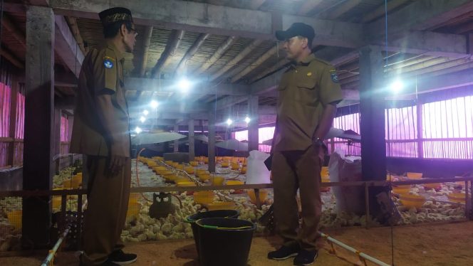 
 Foto, Kepala Sekolah SMKN 1 Sakra Ahmad Sumhaka saat meninjau DOC yang sudah dilepas pada hari senin (13/02).