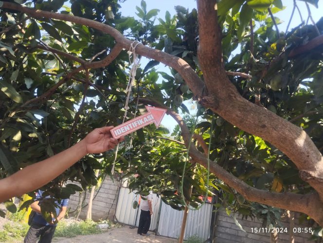 
 Diduga Gara – Gara Asmara, Pria Di Montong Baan Nekat Gantung Diri