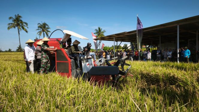 
 Foto : Bupati Lombok Timur H Haerul Warisin atau yang akrab disapa H Iron menggelar panen raya di wilayah Kecamatan Wanasaba Lombok Timur pada hari Senin (07/04).