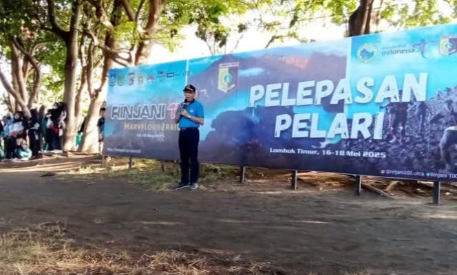 
 Oplus_16908288