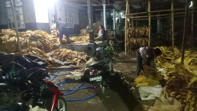 
 Foto : Salah satu warga sakra barat yang mengaku kebingungan karena tembakau belum dijual dengan alasan gudang masih tutup