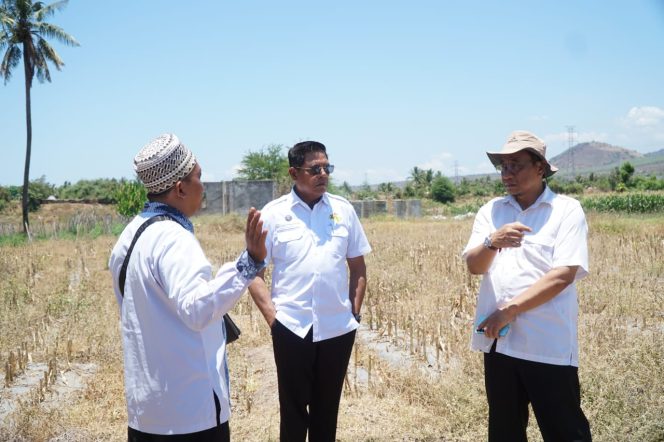 
 Foto : Bupati Lombok Timur H Haerul Warisin meninjau lokasi pembangunan sekolah garuda di menangge baris pada hari rabu (15/10)