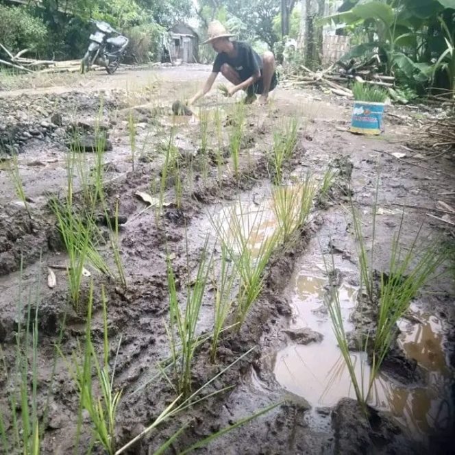 
 Foto : Inilah kondisi jalan yang ada di Wilayah perbatasan Lombok Timur - Lombok tengah yang belum di perbaiki pemerintah.