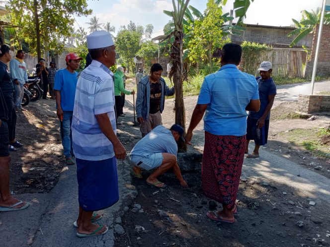 
 Jalan Tak Kunjung di Perbaiki Warga Kalijaga Timur Tanam Pohon Pisang