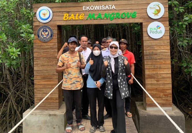 
 Destinasi Wisata Bale Mangrove Kondusif, Pengunjung Mulai Ramai