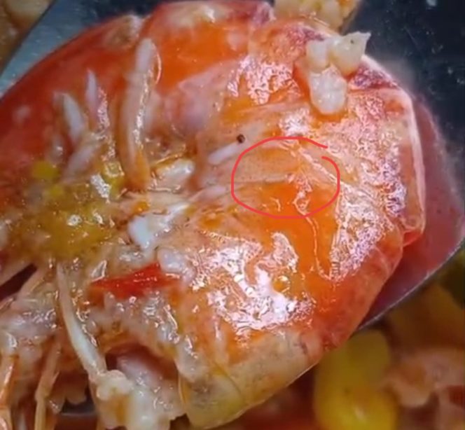 
 Foto : Menu MBG Udang yang mengandung belatung
