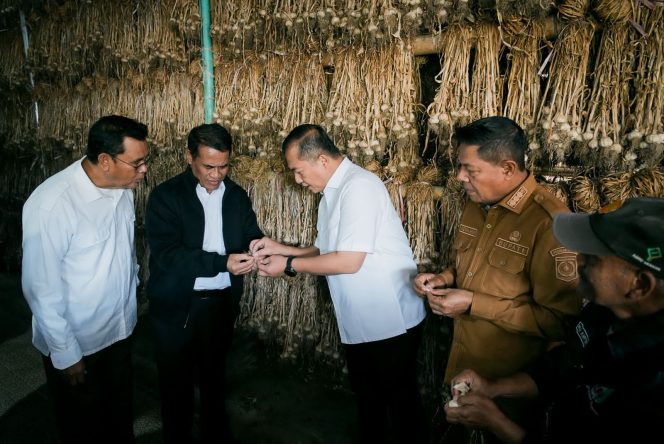 
 Lotim Jadi Lokasi pengembangan Bawang Putih Nasional
