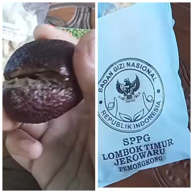 
 Foto: Buah Salak yang di bagikan SPPG Pemongkong kecamatan jerowaru dalam keadaan busuk